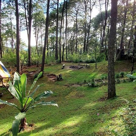 Cabana Rustica A 1Km De Cascada Mazamitla Eksteriør bilde