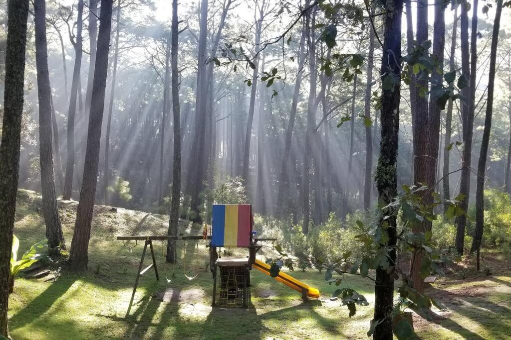 Cabana Rustica A 1Km De Cascada Mazamitla Eksteriør bilde